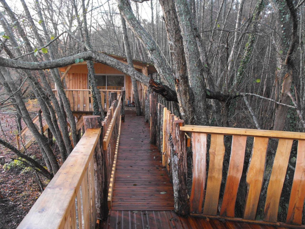 Cabane Des Cerfs Allons  외부 사진