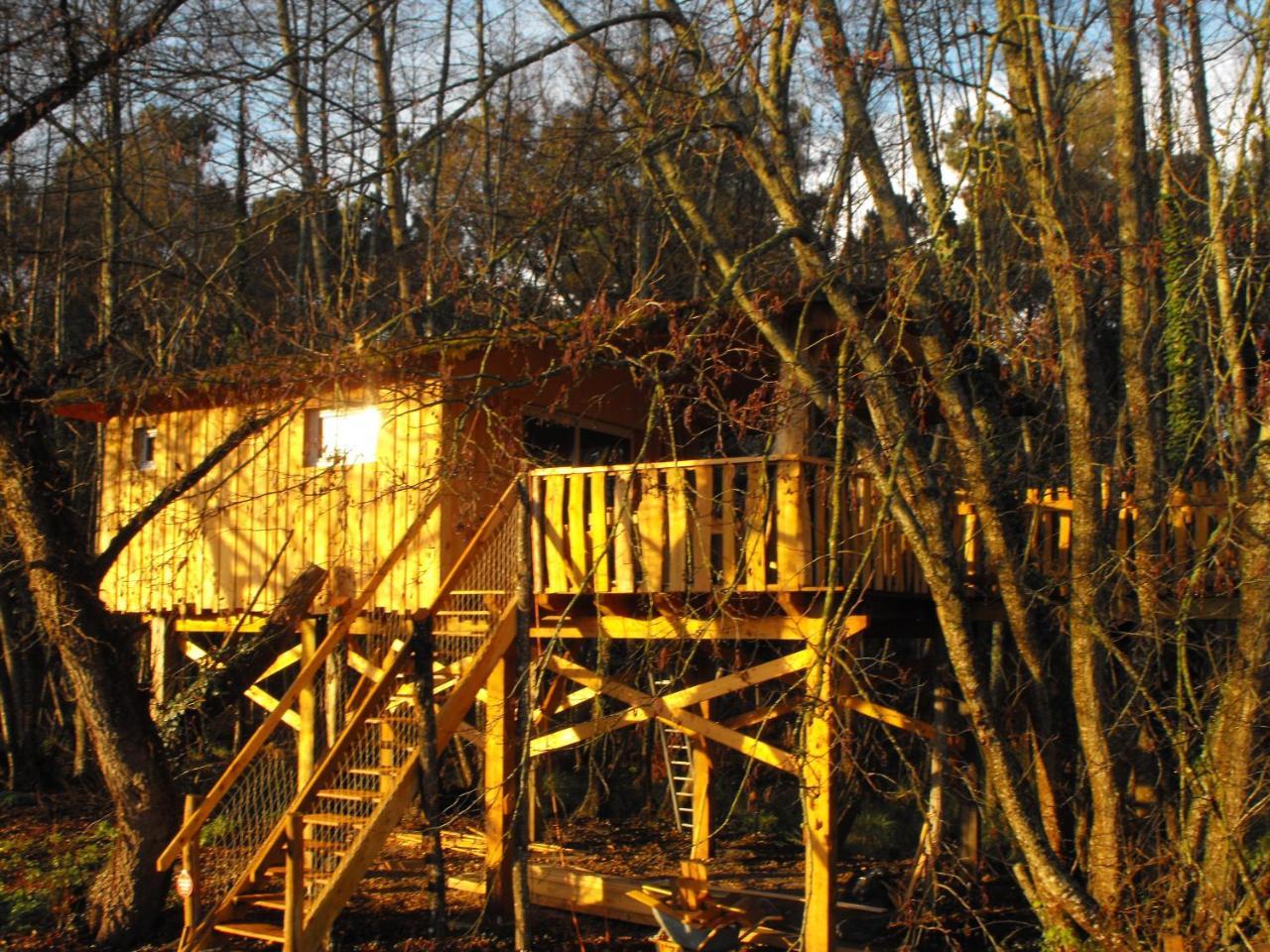 Cabane Des Cerfs Allons  외부 사진
